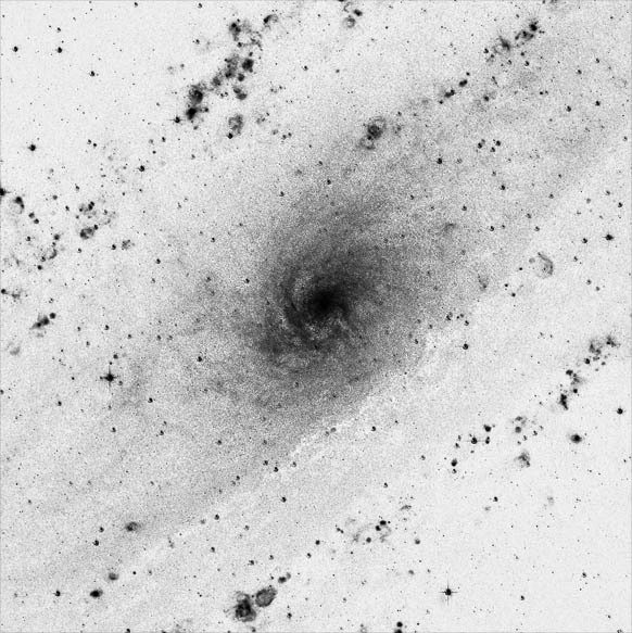 M31's nuclear spiral