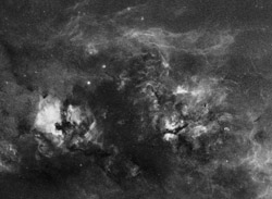Cygnus