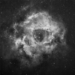 Rosetta